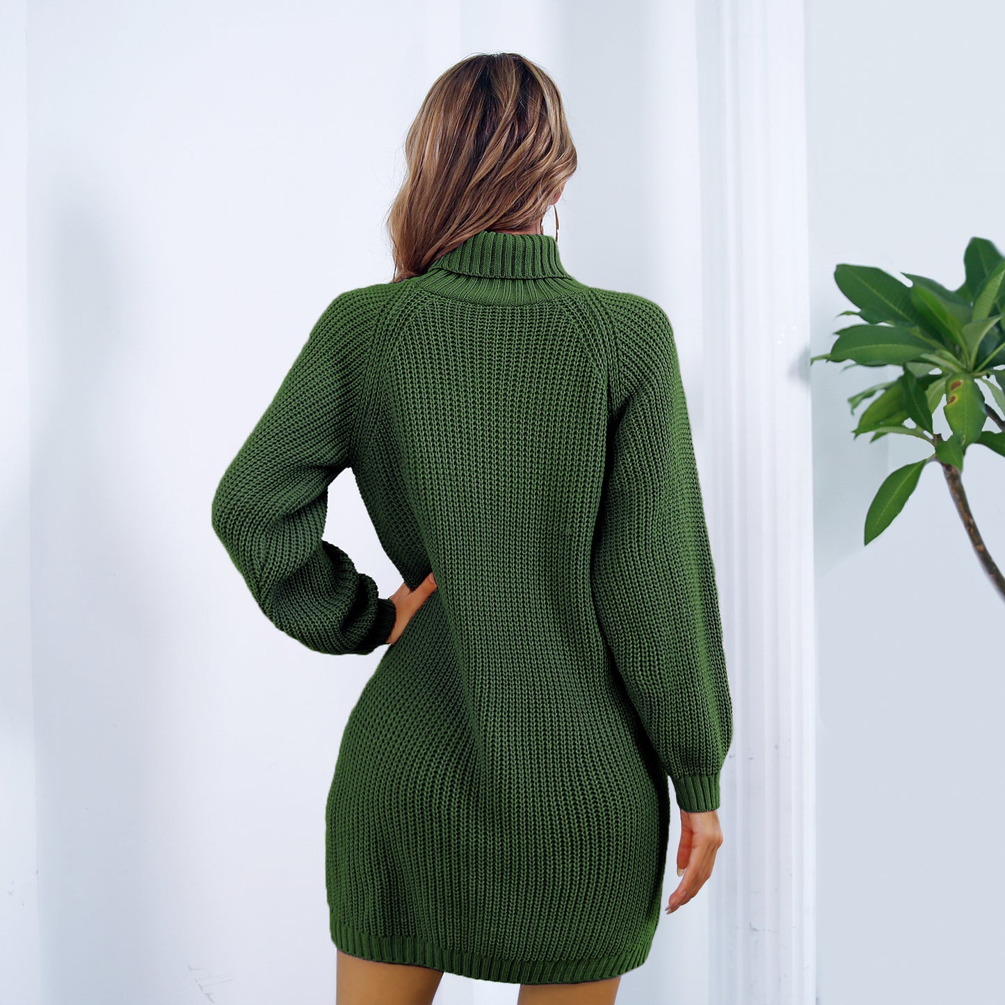 Alizza- Langarm Basis Pullover Kleid für Herbst und Winter